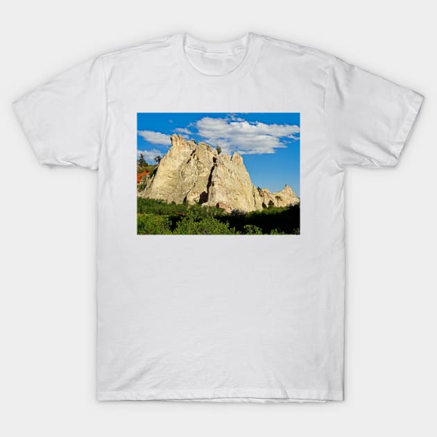 Garden of the Gods Study 7 T-Shirt by bobmeyers